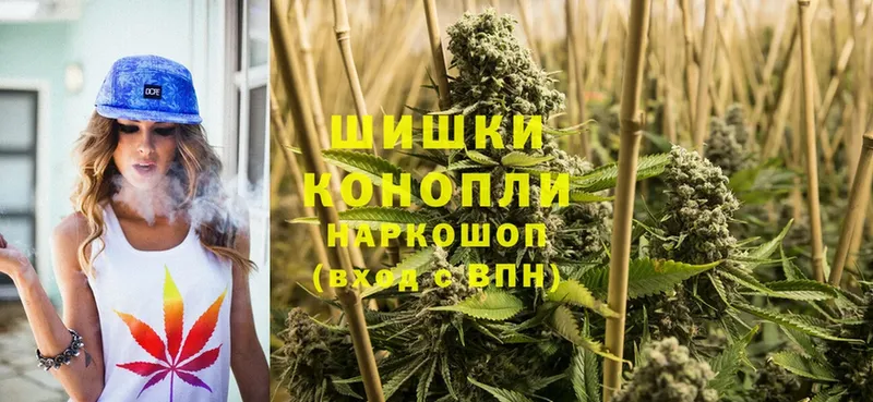 Бошки Шишки Ganja  купить закладку  Всеволожск 